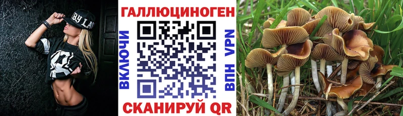 Галлюциногенные грибы MAGIC MUSHROOMS  Нижняя Салда 
